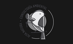 Certificacion