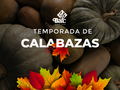 Temporada de Calabazas